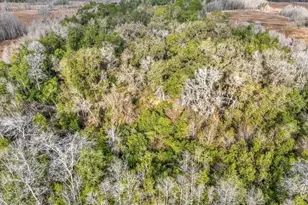 11535 Mattioda Rd, Groveland, FL 34736 - Photo 9