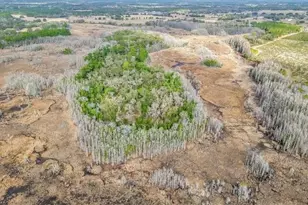 11535 Mattioda Rd, Groveland, FL 34736 - Photo 15