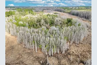 11535 Mattioda Road, Groveland, FL 34736 - Photo 11