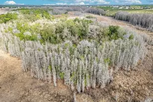 11535 Mattioda Rd, Groveland, FL 34736 - Photo 11