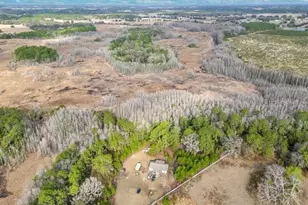 11535 Mattioda Rd, Groveland, FL 34736 - Photo 7