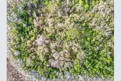 11535 Mattioda Road, Groveland, FL 34736 - Photo 13