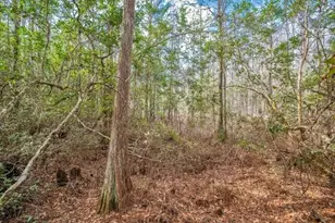 11535 Mattioda Rd, Groveland, FL 34736 - Photo 3