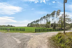 16820 SE 165th Ave, Weirsdale, FL 32195 - Photo 39