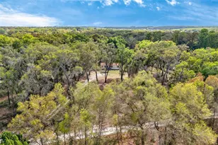 16820 SE 165th Ave, Weirsdale, FL 32195 - Photo 35