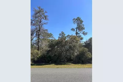 0 SW 36th Ave. Rd, Ocala, FL 34473 - Photo 7