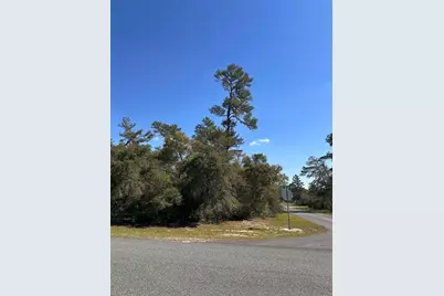 0 SW 36th Ave. Rd, Ocala, FL 34473 - Photo 5