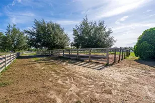12650 SE 98 Ln, Dunnellon, FL 34431 - Photo 75