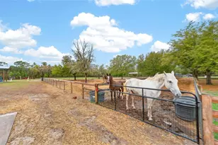 12650 SE 98 Ln, Dunnellon, FL 34431 - Photo 77