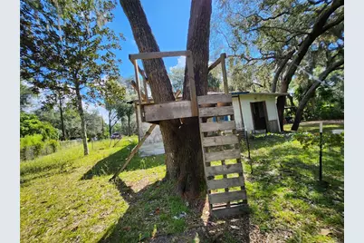 16930 SE 1st Lane, Silver Springs, FL 34488 - Photo 21
