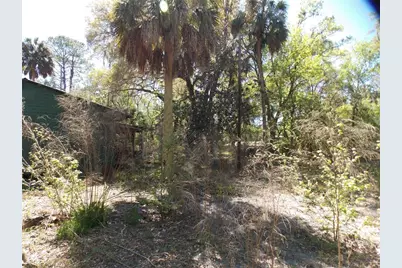 922 SE 119th Avenue, Micanopy, FL 32667 - Photo 19