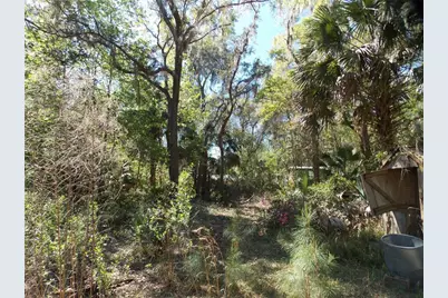 922 SE 119th Avenue, Micanopy, FL 32667 - Photo 25