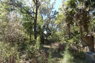 922 SE 119th Ave, Micanopy, FL 32667 - Photo 25