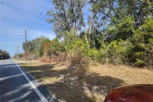 Tbd SE 145 St, Summerfield, FL 34491 - Photo 1