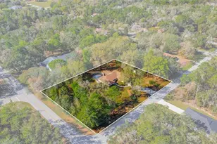 826 E Gaines Ln, Hernando, FL 34442 - Photo 3