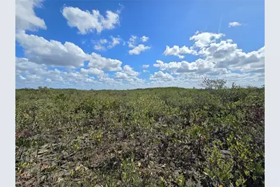 [Address not provided], Crystal River, FL 34429 - Photo 57