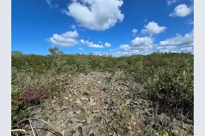 [Address not provided], Crystal River, FL 34429 - Photo 49