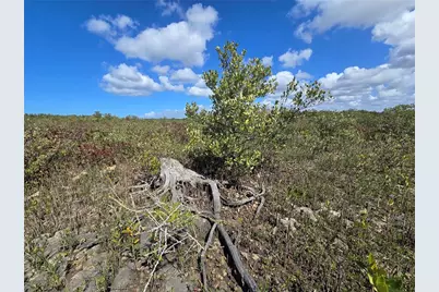 [Address not provided], Crystal River, FL 34429 - Photo 53