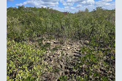 [Address not provided], Crystal River, FL 34429 - Photo 41