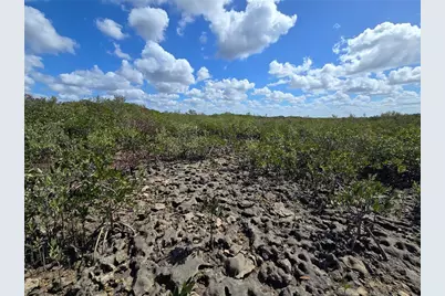 [Address not provided], Crystal River, FL 34429 - Photo 7