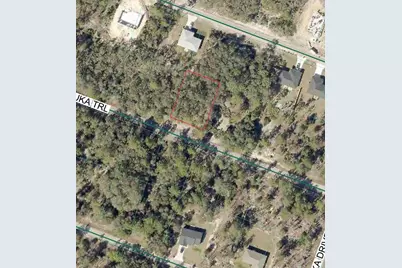 Malauka Trail, Ocklawaha, FL 32179 - Photo 3