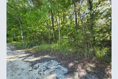 0000 SE 42nd Court, Belleview, FL 34420 - Photo 1