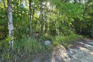 0000 SE 42nd Ct, Belleview, FL 34420 - Photo 1