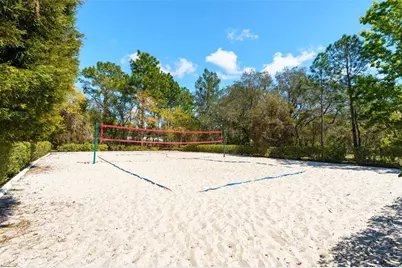 13454 Golden Lime Avenue, Spring Hill, FL 34609 - Photo 69