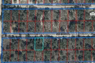 NE 67th Pl Lot 5, Williston, FL 32696 - Photo 1