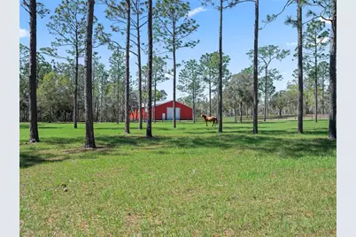 11370 SE 12th Lane, Morriston, FL 32668 - Photo 45