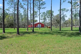 11370 SE 12 Ln, Morriston, FL 32668 - Photo 45
