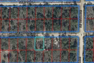 NE 66th Ln Lot 11, Williston, FL 32696 - Photo 1