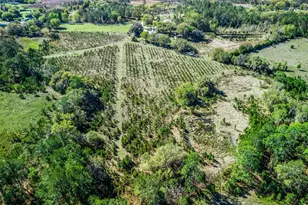 6350 NE 86th Ave, Bronson, FL 32621 - Photo 83