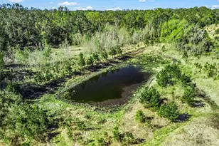 6350 NE 86th Ave, Bronson, FL 32621 - Photo 75