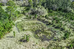 6350 NE 86th Ave, Bronson, FL 32621 - Photo 79