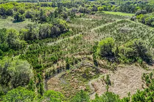 6350 NE 86th Ave, Bronson, FL 32621 - Photo 81