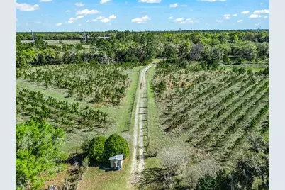 6350 NE 86th Avenue, Bronson, FL 32621 - Photo 7