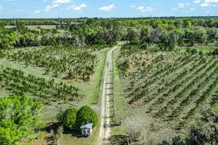 6350 NE 86th Ave, Bronson, FL 32621 - Photo 7
