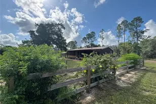 6845 S Sunnyview Point, Homosassa, FL 34446 - Photo 3