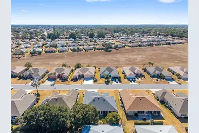 9003 SE 118th Lane, Summerfield, FL 34491 - Photo 7