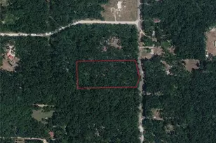 360 NE 558th St, Old Town, FL 32680 - Photo 1