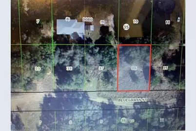 2406 Bluegrass Street, Inverness, FL 34453 - Photo 1