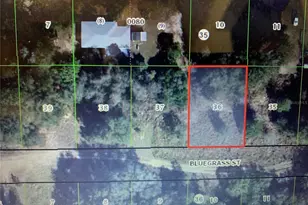 2406 Bluegrass St, Inverness, FL 34453 - Photo 1