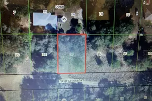 2408 Bluegrass St, Inverness, FL 34453 - Photo 1