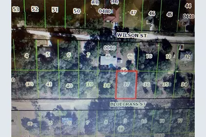 2408 Bluegrass Street, Inverness, FL 34453 - Photo 3