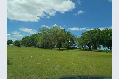 Lot #7 SE 66th Place, Morriston, FL 32668 - Photo 3