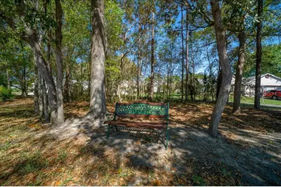 11365 SW 77th Avenue, Ocala, FL 34476 - Photo 45