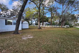 6091 SE 114th Street Rd, Belleview, FL 34420 - Photo 3