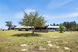 7450 SE State Road 121, Morriston, FL 32668 - Photo 49