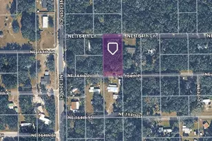 Tbd NE 164th Pl, Citra, FL 32113 - Photo 1